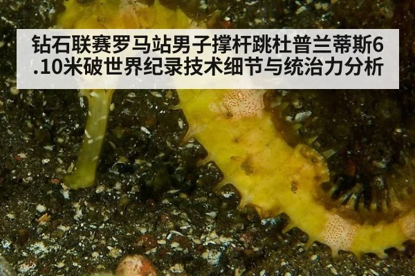 钻石联赛罗马站男子撑杆跳杜普兰蒂斯6.10米破世界纪录技术细节与统治力分析